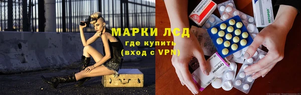 спайс Алзамай