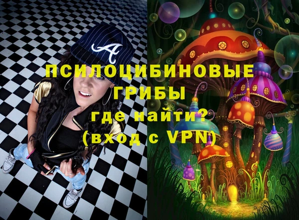 спайс Алзамай